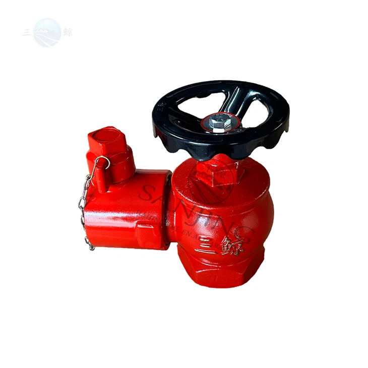 Fire Hydrant BS Standard